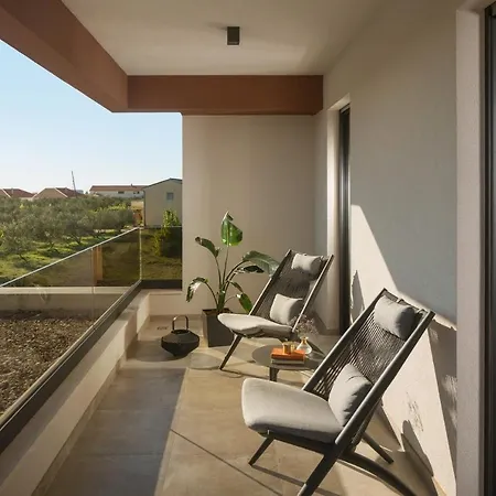 Beautiful Scallop * Podlug