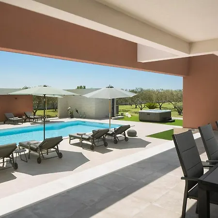 Villa Beautiful Scallop