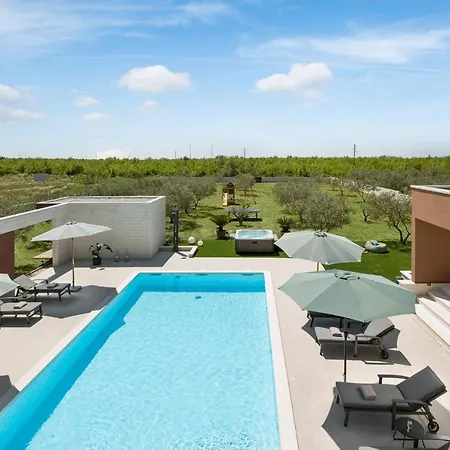 Villa Beautiful Scallop