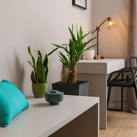 Villa Beautiful Scallop