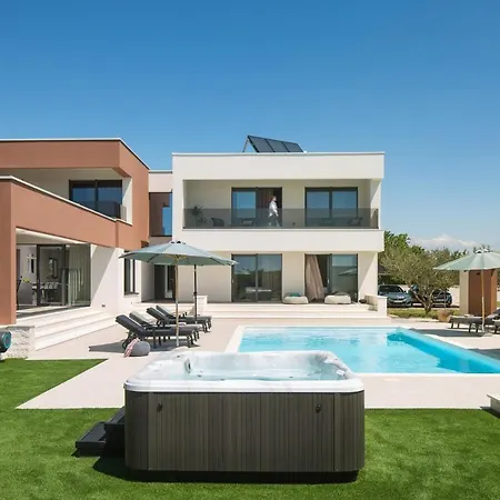 Beautiful Scallop Podlug