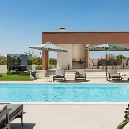 Beautiful Scallop Podlug