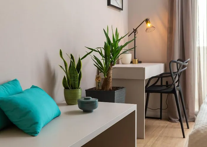 Vila Beautiful Scallop