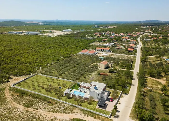 Vila Beautiful Scallop *